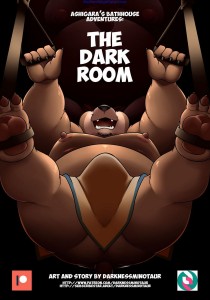 The Dark Room