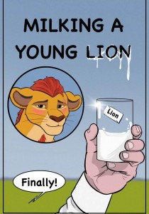 Milking A Young Lion